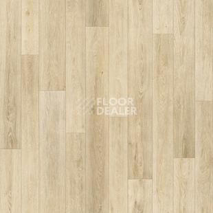 Линолеум Tarkett Bonus Duncan 1 фото 1 | FLOORDEALER
